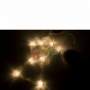 ������ ��������� Neon-Night