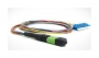 FH-B9-503-MPOF12/PR-12LC/PR-0.9M-LSZH