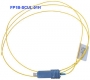 FP1B-SCUL-01H