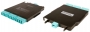 LS-12-LC5V-01