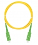 NMF-PC1S2C2-SCA-SCA-001