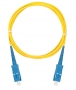 NMF-PC1S2C2-SCU-SCU-010