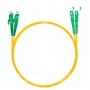 NTSS-DPC-9-E2000/A-SC/A-3.0-2