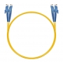 NTSS-DPC-9-E2000/U-E2000/U-3.0-10
