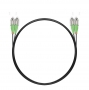 NTSS-DPC-9-FC/A-FC/A-3.0-20-BL