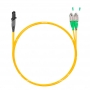 NTSS-DPC-9-MTRJ/f-FC/A-2.0-2