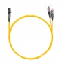 NTSS-DPC-9-MTRJ/f-FC/U-2.0-1