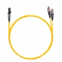 NTSS-DPC-9-MTRJ/m-FC/U-2.0-1