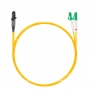 NTSS-DPC-9-MTRJ/m-LC/A-2.0-3