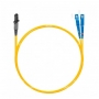 NTSS-DPC-9-MTRJ/m-SC/U-2.0-2