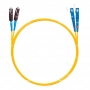 NTSS-DPC-9-MU/U-SC/U-2.0-1