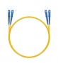 NTSS-DPC-9-SC/U-SC/U-3.0-3