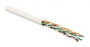 UUTP4-C6-P24-NCR-IN-PVC-WH-100